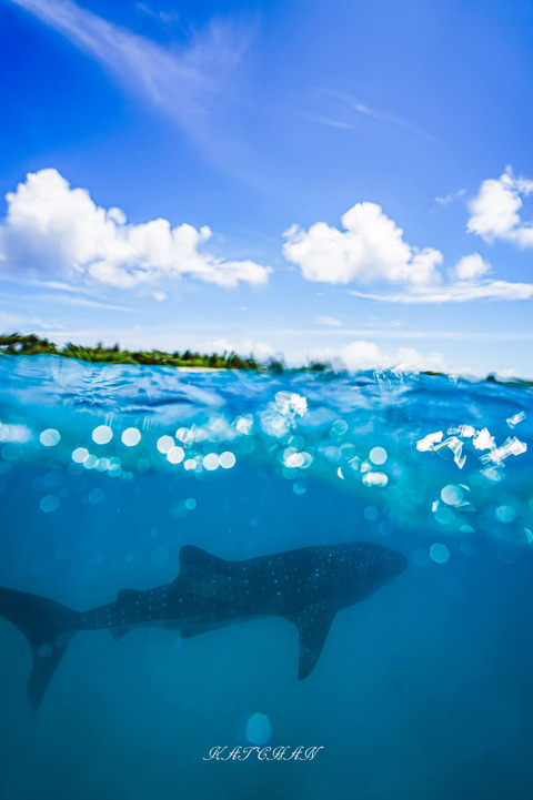 393179885_6917849028309350_5469478066082165191_n