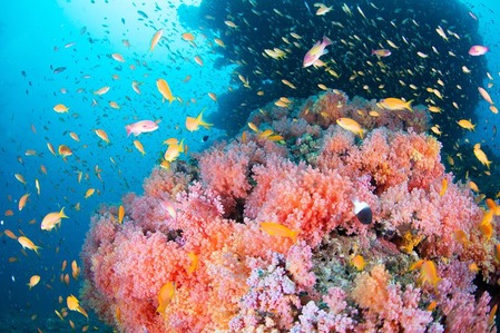 40377006_262509061036822_3225040721513807872_n