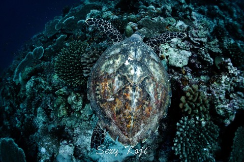 403622783_364597409305613_7006252265771779233_n