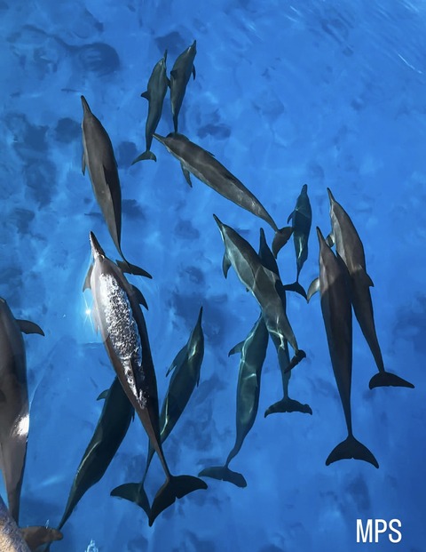 F97612EA-9F19-49FE-B934-9922888B1B52