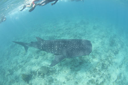 名称未設定-1(ドラッグされました)