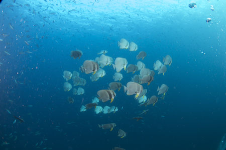 名称未設定-1(ドラッグされました) 8