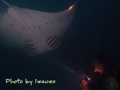 P9160153