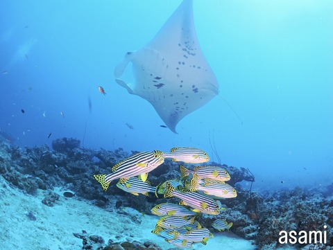 B583C73B-C6DD-4D9C-8058-6FECCA280A4A