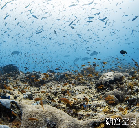 6C2EBA74-50FC-421F-916F-5F8F22DE8470