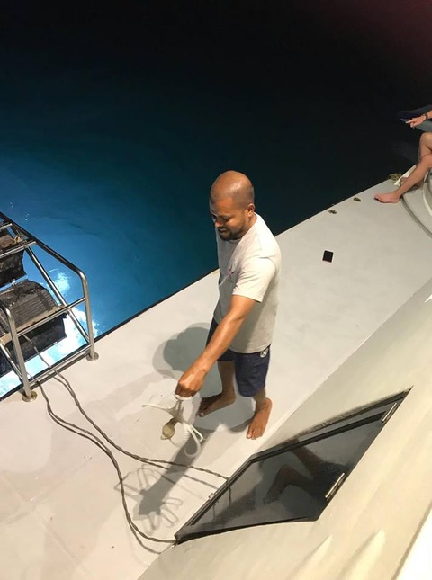 42294952_1875892779164173_4765218218652467200_n