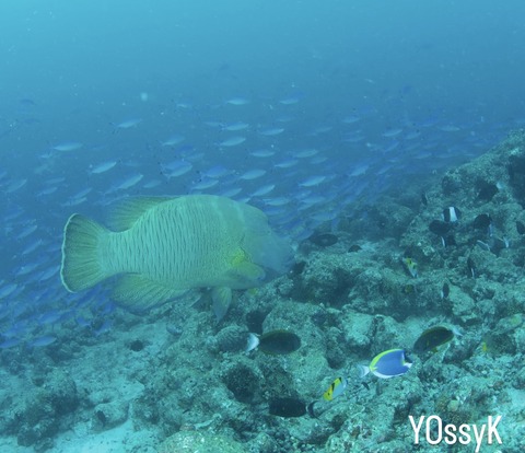 18195B56-AF5A-4ADA-8A1C-B96076985703