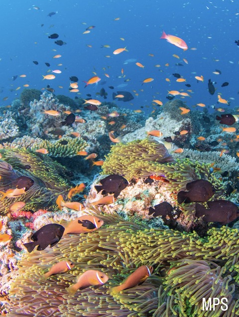 41199375-A826-4A3E-A01E-C066C0359CC9