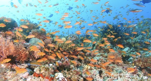 4BD36BF3-42B2-49EB-87CC-3021DCD31B3E