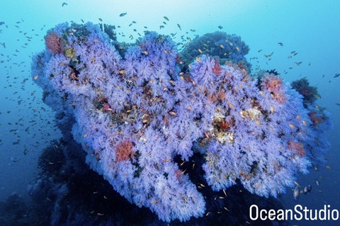 F43C18D4-CBD7-4069-B800-0D0824B4B0BA