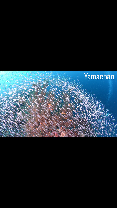 72A4D4D9-439A-4EE6-A542-1F7D9E7DAAA6