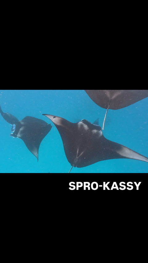 C71A64E1-6CA3-4B01-8B7F-2F452C87B1EC