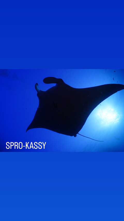 7BCFB633-18D4-4296-A8FB-603F0BF46033