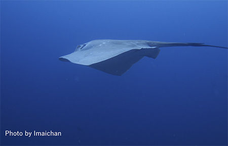 P9171215 のコピー