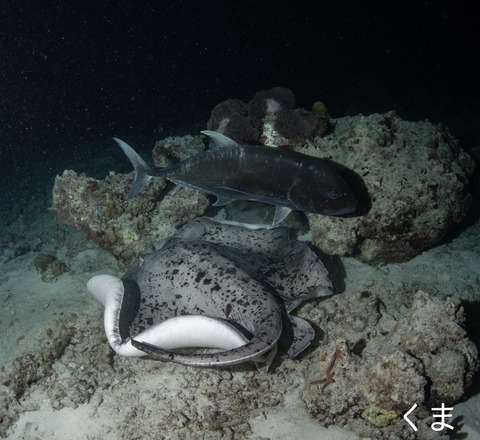 BF3898AD-0B3F-486A-9A09-139207EEDC36