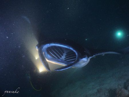 31109103_930787153770039_1206354700_o