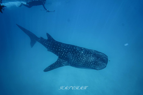 406396828_6917849178309335_6360127943577360547_n