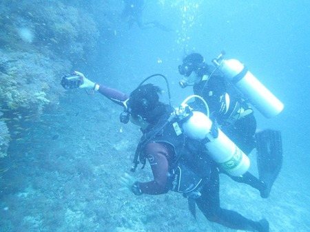 40414532_227774621415248_5222453358878523392_n