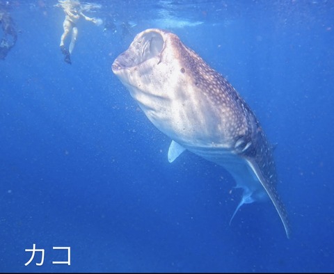 7BB48EE4-071B-4A0A-AB69-4AF659BC892E