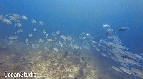 4D157578-BA85-4A07-85AA-52E5E0792DCF