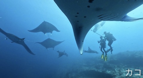 A7378D28-AA83-4FD5-9245-2DDD726254A3