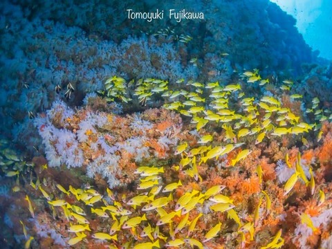 376751201_6583274668433456_3545192504388170396_n