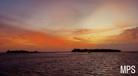 8E3E5FEE-19A1-4CE2-8DD8-EFFF8F59F957