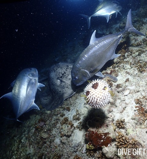 FCD8E666-DD2D-4F98-9963-8902C8F652B9