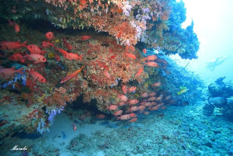 363321564_6461685397259051_6807712354923591254_n