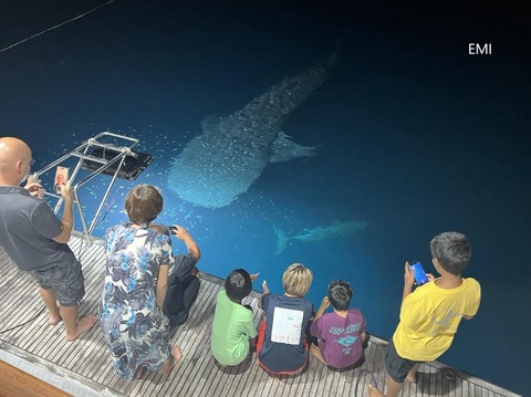 393734054_3675491046109828_7106149666935848015_n