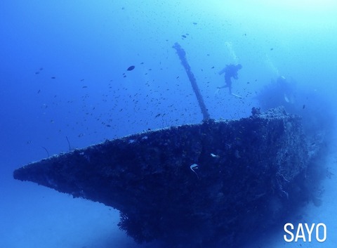 23303401-470C-404A-9D27-BCAAFE93BB74