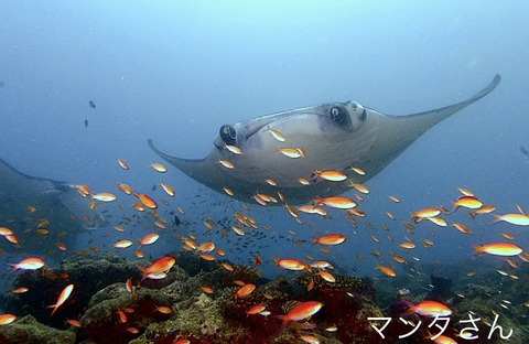 5553B0B8-389C-4AF9-B054-29F6FDEA062B