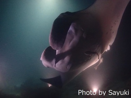 44183298_1292347487570927_7463091815281852416_n