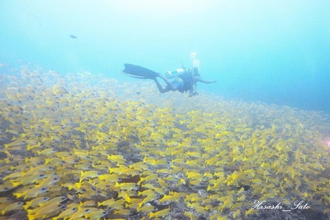 372140883_329470432802643_7267754507501692835_n