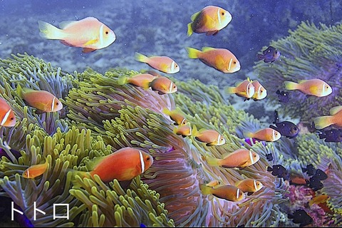 864B160A-80F6-4B63-8F07-19366A988FF3