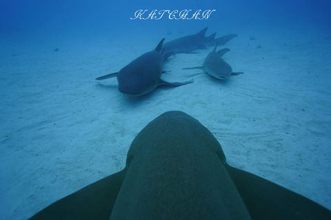 406763263_6917944288299824_8040867540062713076_n