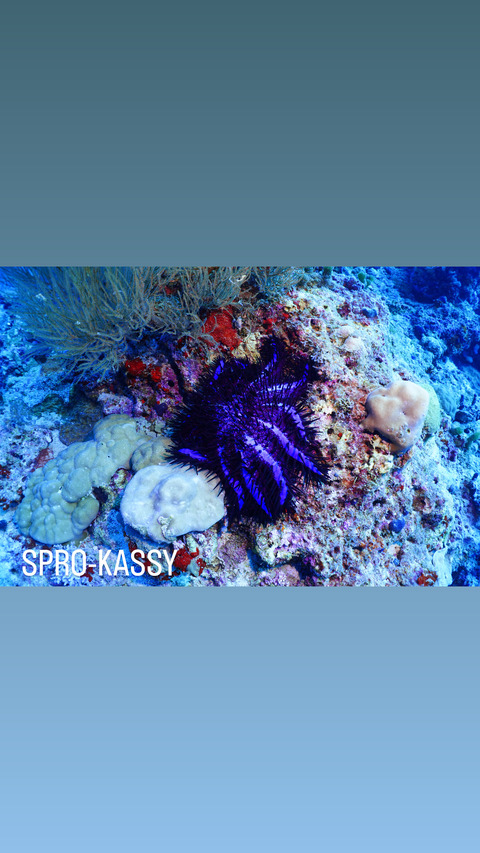 19317EB3-1B6C-48FE-AF42-A35C0A9CB096