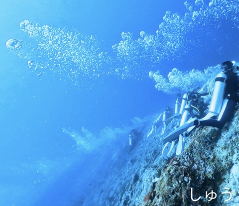 3FB6D9C4-6823-43AB-885B-9DC8E28719CE