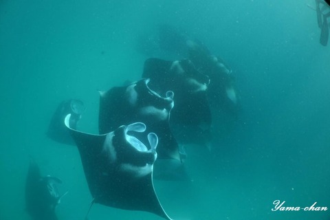 230813_153843-167273