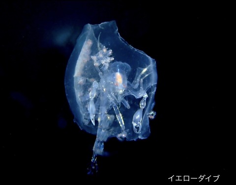 3CAF7A5C-1940-4282-AAAE-6317EBB7EA4C