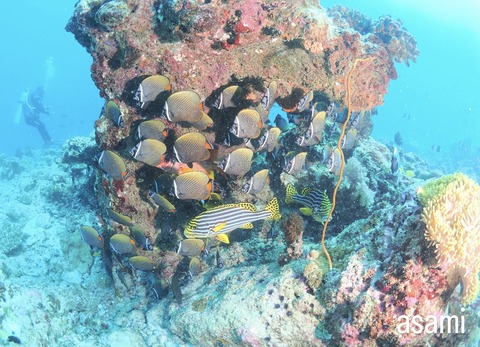 5CE0008C-BDA4-4FB5-90E5-561F04CF8979