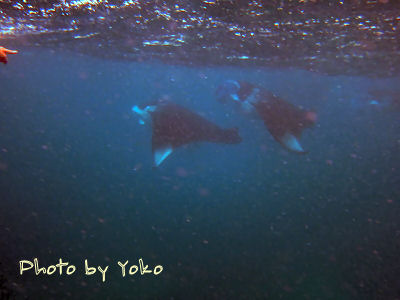 IMG_0867