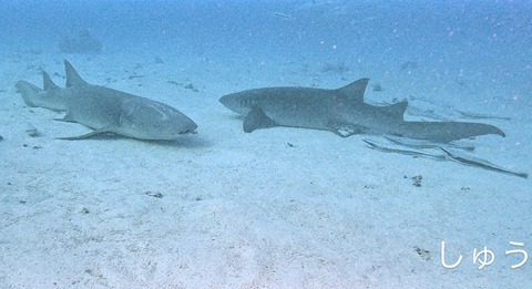 68E4246F-5A0B-4F09-A1BC-97DA9358E640