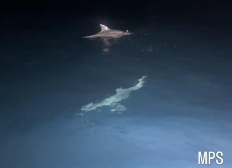 C5C5137C-10C6-4138-B31E-DBF2CAB3EDFA