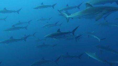 received_777720762419881