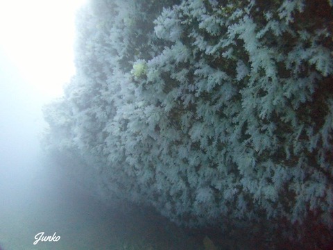P9200645