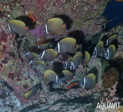 0D7A679A-D4E8-4D7B-A730-86087487BF9E