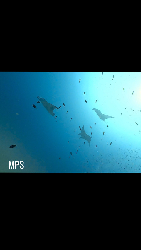 A8828A18-16C5-41E6-891E-3E32BBCCC932