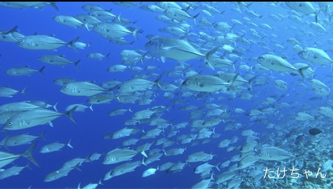 74ADC9C9-A2BD-4134-BD34-19CAF4853698