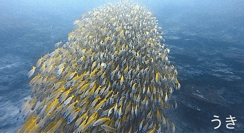 C0E990CF-409B-4DE4-9497-7F284EE5B21D